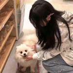 女主播的游戏手机版下载
